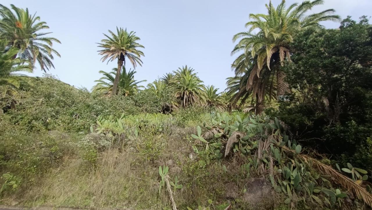 Alquilaencanarias Casa La Playa La Gomera Alojera Εξωτερικό φωτογραφία